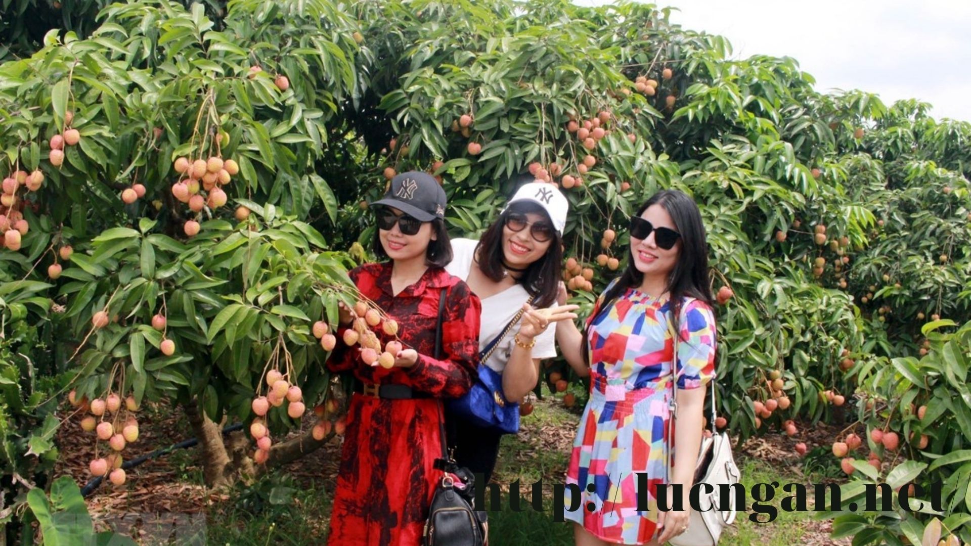 Lục Ngạn (Bắc Giang): Phát triển hạ tầng, nâng tầm kinh tế